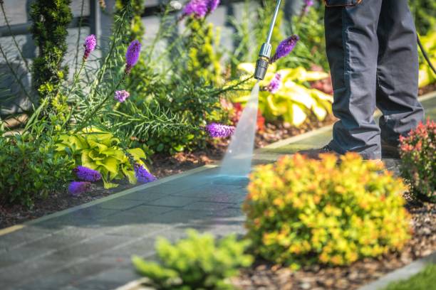 Reliable Conesus Lake, NY Pressure Washing Services Solutions